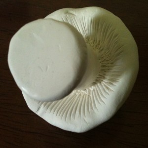 the underside of a white Sculpey mushroom showing the gills